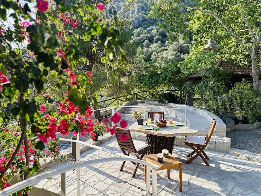 Elia Junior Suite In Epidavros With Shared Pool Nea Epidavros Exterior photo